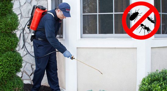 Sivaslı Gümüşkurt İlaçlama böcek ilaçlama ve haşere kontrolü — ilaclama-tr.com